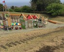 最近お家を建てた方、ご自分でお庭を造りたい方に施工の仕方やガーデニングのアドバイスを致します イメージ1