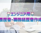 エンジニア用/履歴書・職務経歴書作成します 10月末まで表示価格より2000円引き（②③のみ） イメージ1