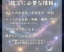 大切なペットとの相性、霊視します あの子と出会った意味を知りたいあなたへ イメージ3