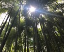 あなたのお話しお聴きします 看護師・保健師の経験を活かして、あなたの心によりそいます イメージ1