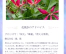 不運の連鎖を断ち切る厄払いの鑑定します 見えない不調の原因をタロットと九星気学で多角的に診断 イメージ7