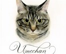 名前入り┊おしゃれなペットの似顔絵を水彩で描きます ┊犬・猫・うさぎ・小動物・鳥さんもOK ┊原画納品 イメージ3