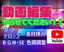 やらしてください！！動画編集致します 予算を抑えたい方必見！！　YouTube.PR動画編集 イメージ1