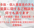 営業戦略、営業戦術に関するご相談を承ります 現役東証プライム新規事業担当/事業立ち上げ複数経験あり イメージ1