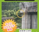 初めてでも安心！ヘッダー・バナー制作致します まごころをこめて、親切、丁寧で。 イメージ4