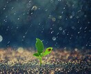 言いたい事や我慢してる気持ち、全力で受け止めます 一人一人の価値観だから矛盾する。思い込み・決め付けの先は傷！ イメージ2