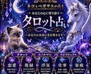 お話を聞きながらタロットやルノルマン霊感で占います お話を聞きながらネコとペガサスが占う！癒しと不思議な時間 イメージ1