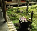 恋愛相談、離婚相談、うけたわまります 恋愛相談や、人間関係の悩みをお伺いいたします。 イメージ3