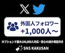 X(Twitter)外国人フォロワー手配します 最速即日！お求めやすい価格でアカウントの権威性を高めます イメージ1