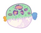 特徴を掴んだポップな似顔絵を特殊文字入りで描きます 他とは違う私だけのイラストフォント！自由なオーダーで感動を！ イメージ8