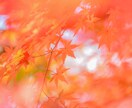 プロフィール写真加工▶︎自然にきれいに整えます ちょっとした写真加工もお気軽にご相談ください♪1枚〜OK イメージ2