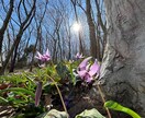 眠れない夜★☆眠くなるまでとことんお付き合いします 今日もお疲れさま♡気分転換　雑談　傾聴　お休みコール　膝枕 イメージ5