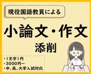中・高・大学入試の小論文を国語教員が添削します 論理的で印象に残る小論文にします。アドバイスで文章力もUP！ イメージ1