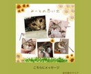 虹の橋のペット(犬猫)さんからのお手紙届けます ペットロス経験者があなたのお心や喪失感に寄り添い愛を イメージ4
