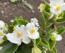 寂しい時、どんなお話しでも静かな時間に寄り添います 秘密厳守。思う通りお話し下さい。気持ちを楽になさって。 イメージ1