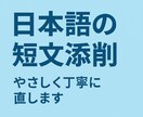 初心者向けの日本語の日記を丁寧に添削します 自然な日本語で書けるようにサポートします。英語で解説も可能。 イメージ1