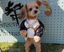 楽しくワンコにしつけと技を教えられます お座りから吠えろまでモデル犬に必要なスキル習得が出来ます イメージ7