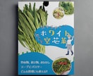 農家さん応援!!野菜POP・ポスター製作します 初めての方でも安心！直売所や店頭、マルシェで使えるPOP！ イメージ8