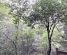 自分と周りとどちらを大切にしているのかがわかります 今、幸せですか？幸せと辛いの違いはたったの線一本です！ イメージ10