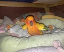 心の中にしまっている思いを何でもお聴きします ちょっと聴いてもらいたいだけでも構いません。 イメージ4