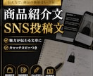 商品紹介文とSNS投稿文を作ります 商品の魅力を伝わる文章に整えます イメージ1