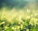 2023年あなたの運気＆必要なメッセージを伝えます 最高の一年にするために♡願望達成祈願も付けることができます イメージ2