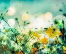 看護師と話たい方✨5分でも♫楽しくお話します 看護師歴20年、大学病院、メンタルクリニック勤務お話伺います イメージ3