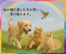 亡くなった後も貴方を側で見守るペットと繋がります 虹の橋の向こうから届く、あなたへのメッセージ イメージ1