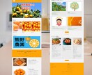 shopifyで本格ECサイト制作をサポートします ShopifyパートナーがECサイトの構築をサポートします！ イメージ3
