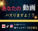 ショート動画を制作します バズる為のノウハウを詰め込んだショート動画制作 イメージ2