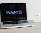 歌詞入れやテロップ入れなどの動画編集をします 動画にテロップ入れや、ご要望に応じてカット等の編集をします イメージ1