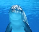 マイナス思考を解消する方法をお伝えします 自分を肯定するために、最初に知っておかなければならない真実 イメージ8