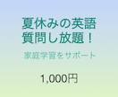 質問し放題！夏休みの家庭学習サポートします 早稲田英語英文学科出身講師が分かりやすく答えます イメージ1