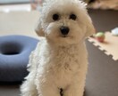 仕事の悩みを整理し次の一手を決めます 精神的に病んでしまう前に、お話し聞きますよ イメージ2