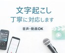 音声・動画の文字起こしを丁寧に行います 誤字脱字を抑え、読みやすく整えます イメージ1