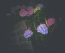 写真を映えるようによりよく加工します 時間がない！早くSNSに投稿したいあなたに！写真加工お任せ！ イメージ6