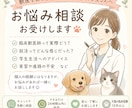 獣医学部を目指す又は獣医学生さん！お悩み相談します 臨床獣医師を目指す学生さんの相談受付ます！ イメージ1
