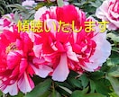 ヒーリングつきの、心ゆくまで傾聴します お悩み、愚痴、なんでもお聞きします。 イメージ1