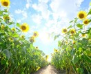 コーチングであなたの悩みを本質から解決できます 傾聴であなたの本音に寄り添うセッションに自信あり！ イメージ1