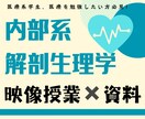内部系解剖生理学の範囲をわかりやすく解説します 理学療法士兼講師の私が内部系解剖生理学をわかりやすく解説！ イメージ1