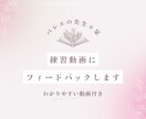 バレエ＊練習動画にフィードバックします お送りいただいた動画を元にフィードバック動画をお作りします。 イメージ1