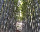人間関係の悩み、恋愛相談、何でも相談のります 誰かに話したいけど話せない方！話してスッキリして下さい！ イメージ1
