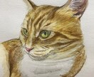 ペットの肖像画のお描きします ペットのかわいらしい姿を鉛筆画または水彩画でお描きします イメージ5