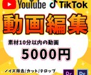 各SNS用の動画編集します コスパの良い動画編集を承ります！ イメージ1