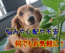 貴方の不安や悩みは何ですか?何でも聞きます とりあえず何かを話したい人必見! イメージ1