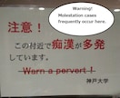 英語を確認して直してあげます 英語あってるのか？確認しよう！歌の歌詞、メール、なんでも！ イメージ1