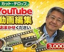 YouTubeショート動画編集します YouTubeショート動画（1分以内）を丁寧に編集します イメージ1