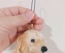動物ぽんぽん作製します あなたの大切な家族であるペットの動物ぽんぽん☆ イメージ3