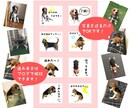 あなた様の家族で癒しのスタンプ作ります ペットも家族の一員スタンプで癒しの時間を イメージ2