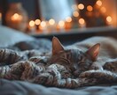 睡眠の質を上げる方法をお伝えします 快適な眠りで日々のパフォーマンスUP！ イメージ10